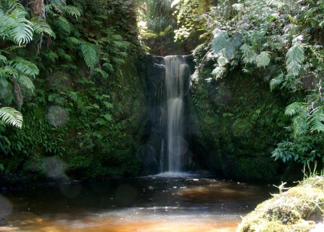 Wilderness Therapeutic  Healing Ceremonies